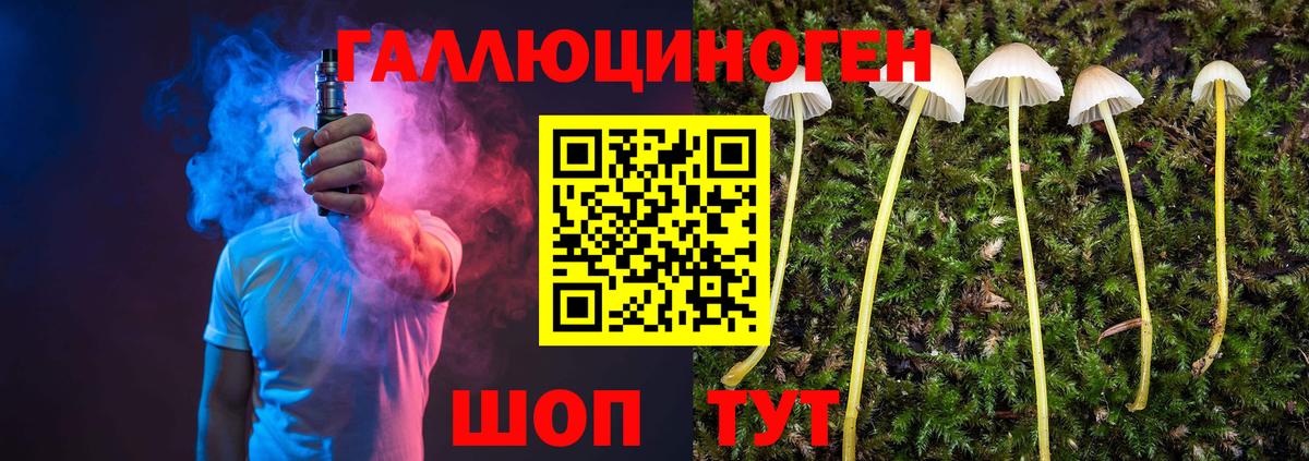Армавир  Галлюциногенные грибы MAGIC MUSHROOMS  Вход с VPN 
